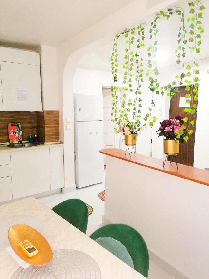 Apartament Near The Park Two Rooms Bucureşti Ngoại thất bức ảnh